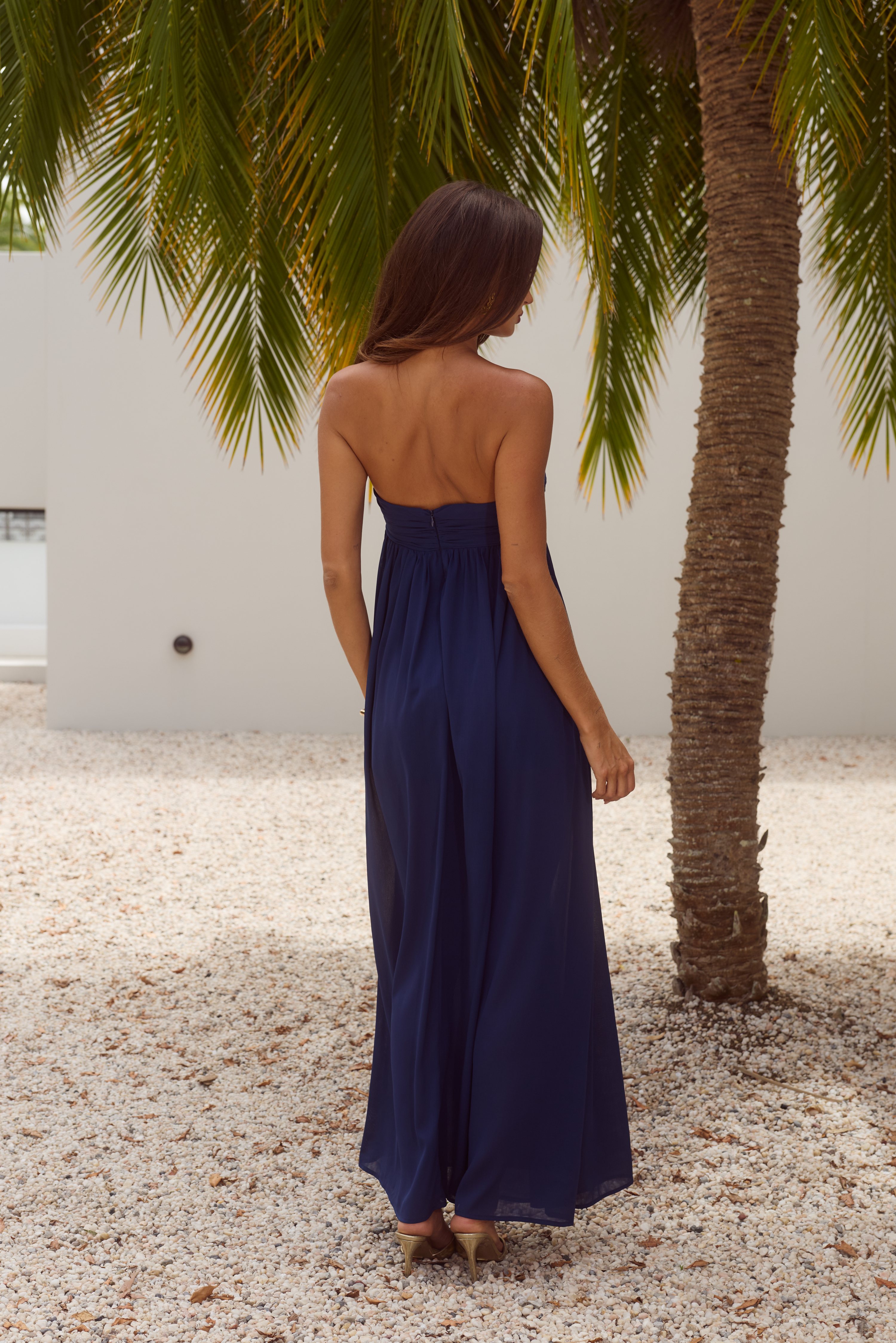 Jaiyah Strapless Maxi Dress