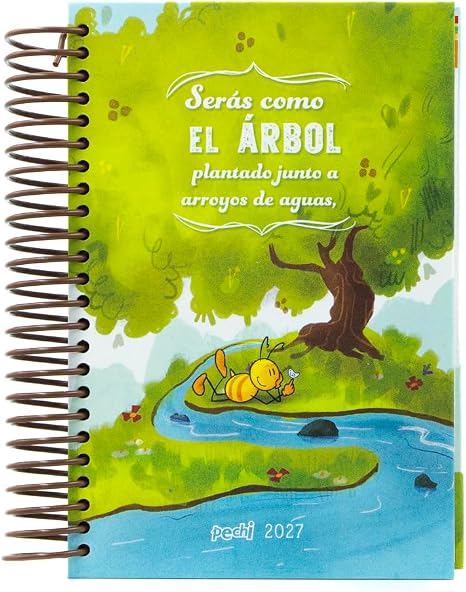PECHI AGENDA 2027
