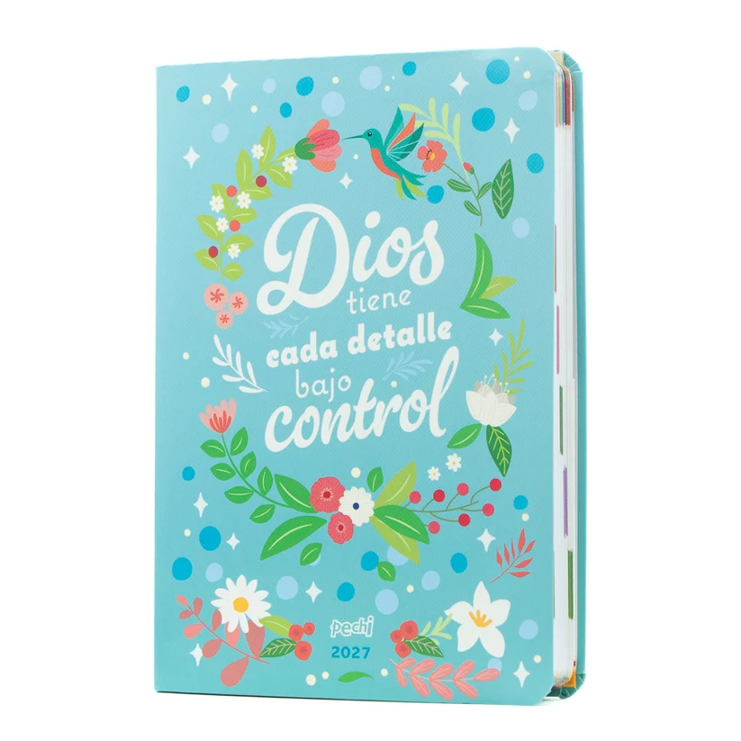 PECHI AGENDA COSIDA 2027