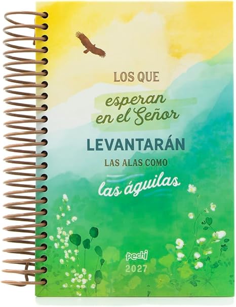 PECHI AGENDA 2027